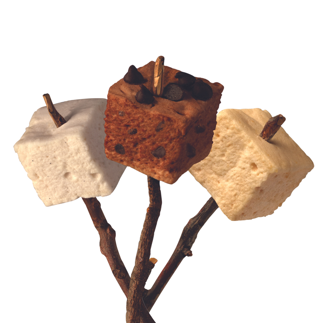 The Best Selling S'mores Kits I Gourmet Marshmallows & Graham Crackers ...